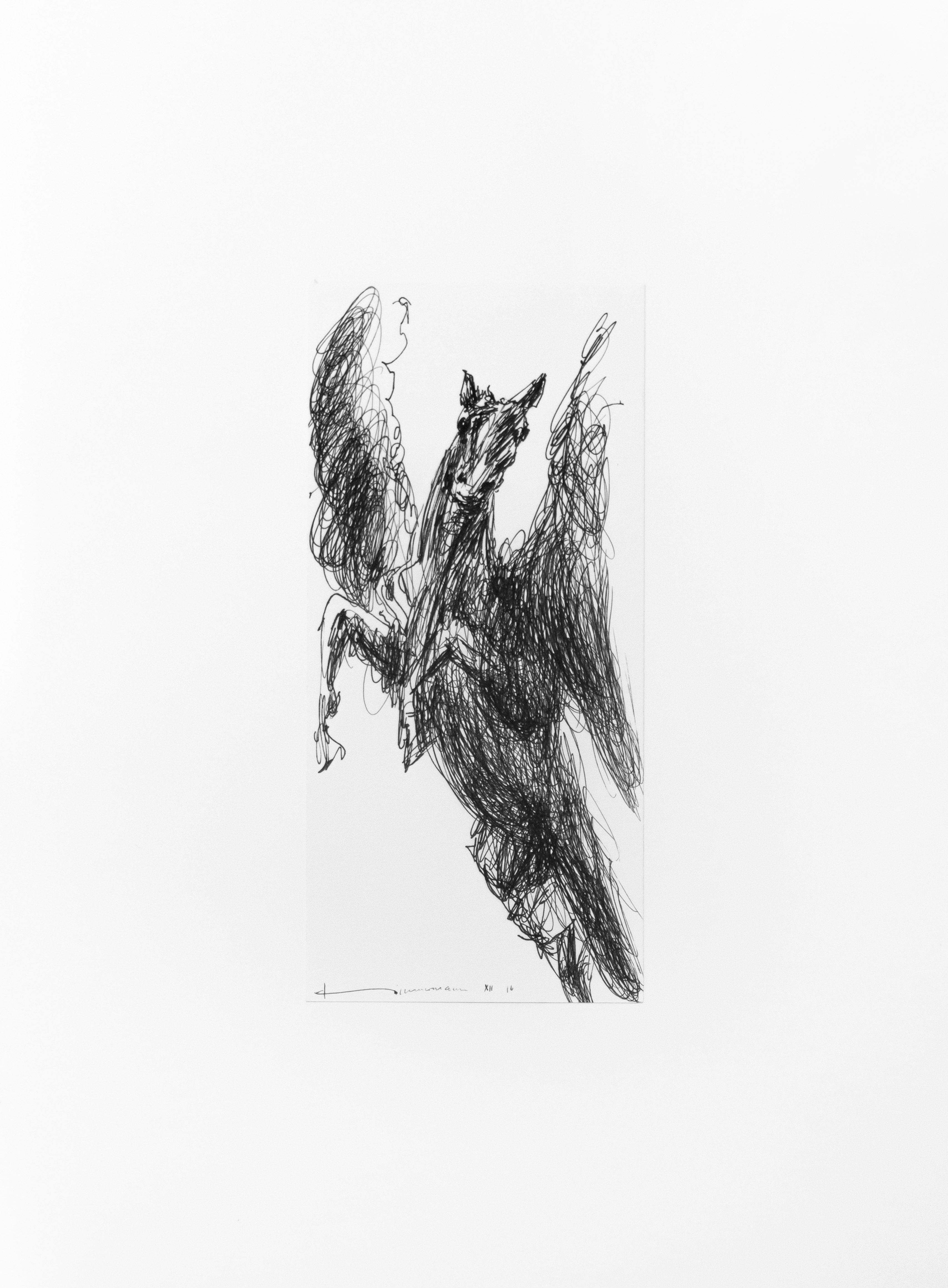 Pegasus Pegasus