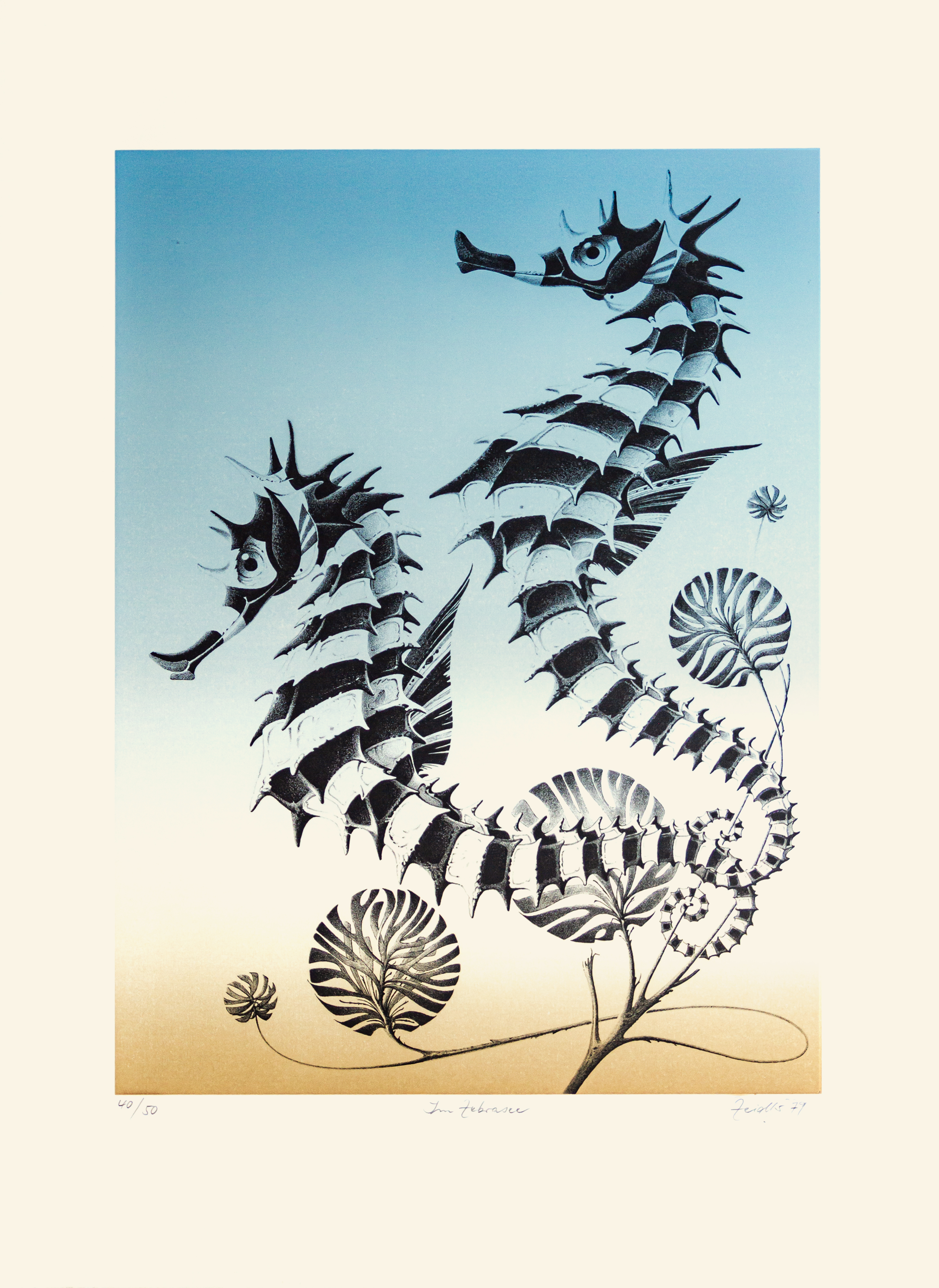Im Zebrasee (Farbe) Im Zebrasee (Farbe)