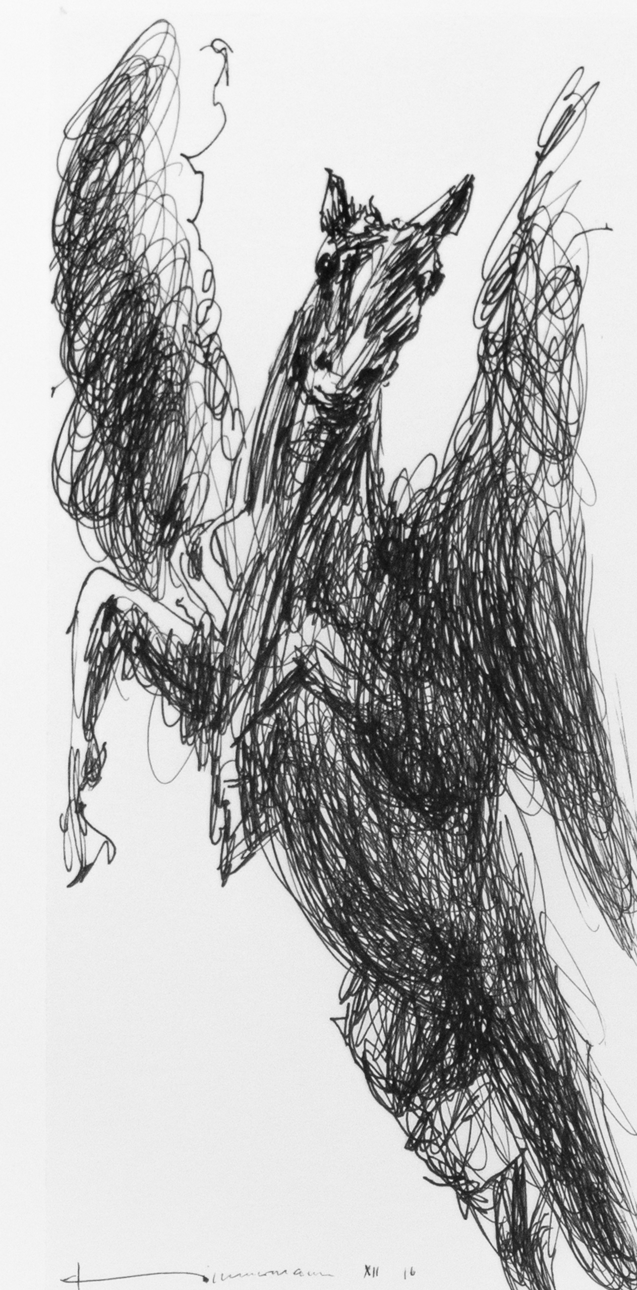 Pegasus Pegasus